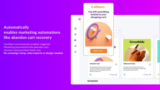 tinyAlbert: AI Email Marketing screenshot