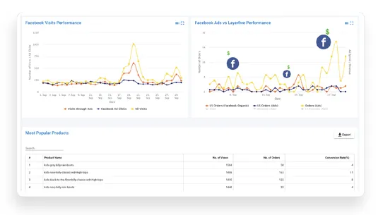 LayerFive Audience &amp; Analytics screenshot