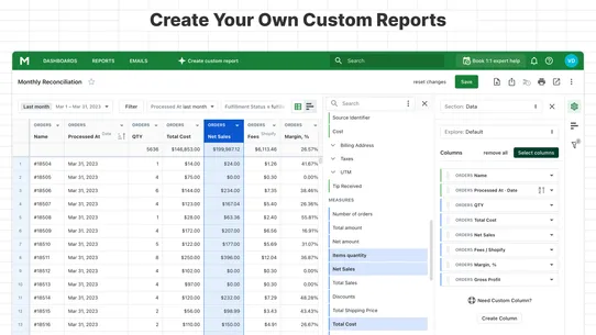 Mipler: Advanced Reports screenshot