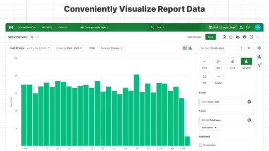 Mipler: Advanced Reports screenshot