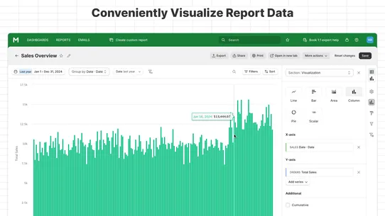 Mipler — Advanced Reports screenshot