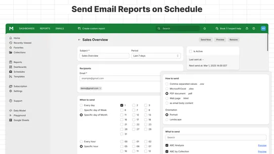 Mipler — Advanced Reports screenshot