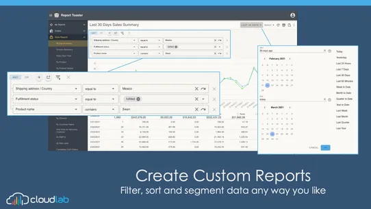 Report Toaster: Custom Reports screenshot