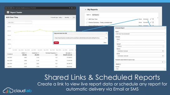 Report Toaster: Custom Reports screenshot
