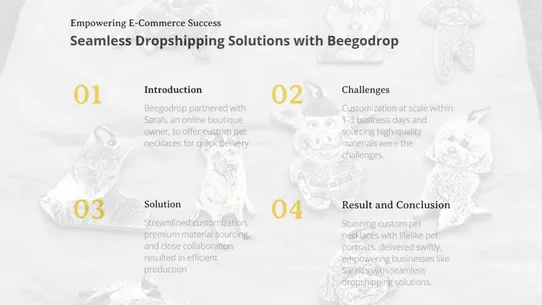 Beegodrop Dropshipping screenshot