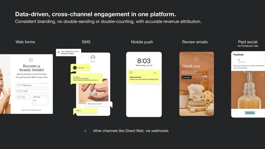 Klaviyo: Email Marketing &amp; SMS screenshot