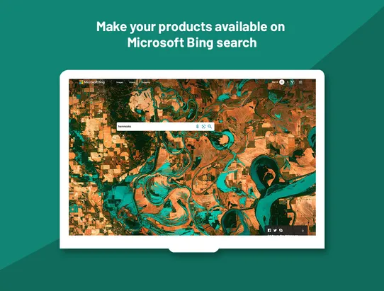 Feed For Microsoft Ads screenshot