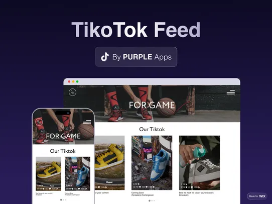 TikTok Feed screenshot