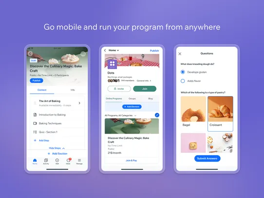 Wix Online Programs screenshot
