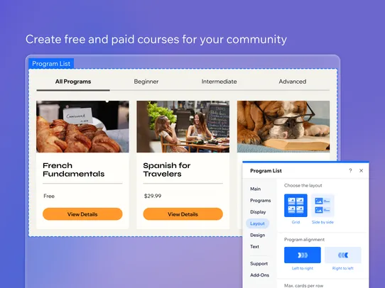 Wix Online Programs screenshot