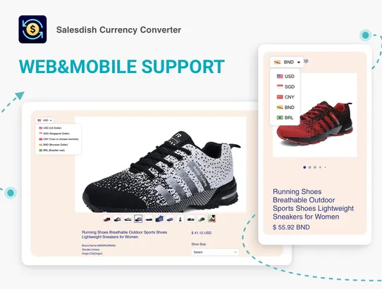 Salesdish Currency Converter screenshot