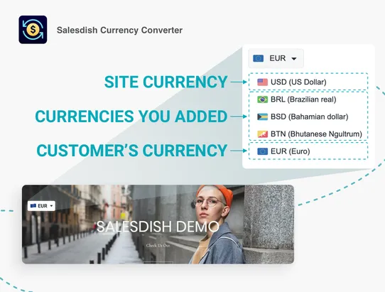 Salesdish Currency Converter screenshot