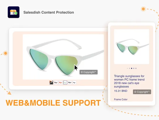 Salesdish Content Protection screenshot