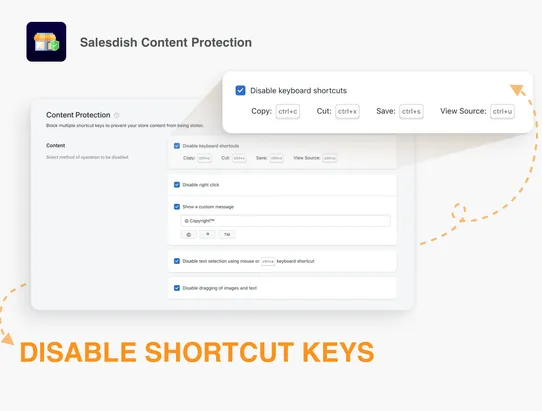 Salesdish Content Protection screenshot