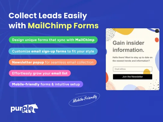 MailChimp Email screenshot