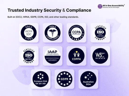 All in One Accessibility screenshot