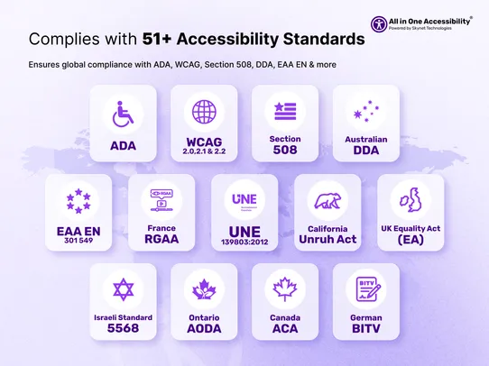 All in One Accessibility screenshot