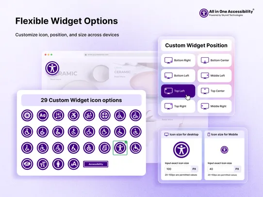 All in One Accessibility screenshot