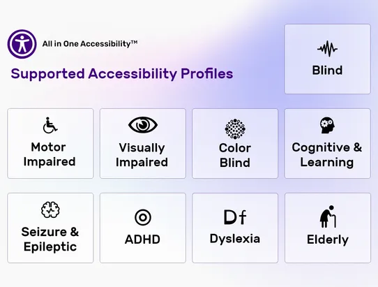 All in One Accessibility screenshot