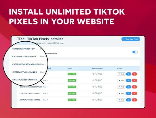 TiXel ‑ Multiple TikTok Pixels screenshot