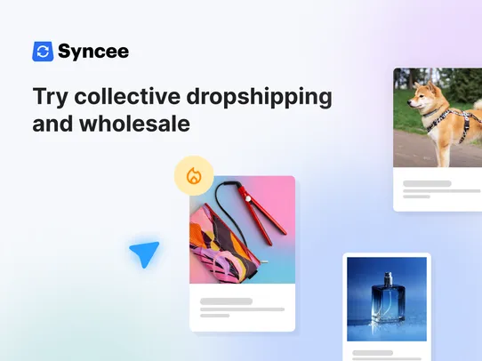 Syncee Collective Dropshipping screenshot