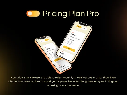 Pricing Plan Pro screenshot