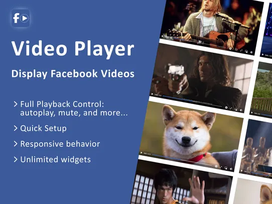 Facebook Player Pro screenshot