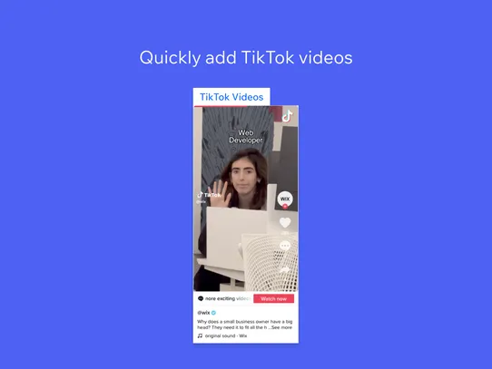 TikTok Videos &amp; Profile Embed screenshot