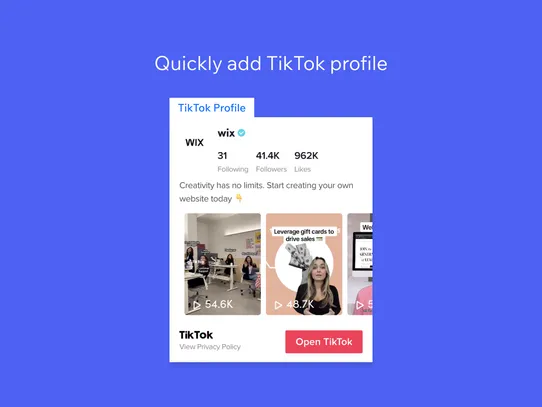 TikTok Videos &amp; Profile Embed screenshot