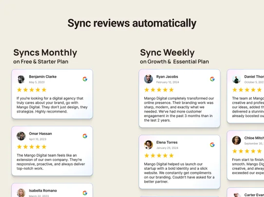 Google Reviews MAX screenshot