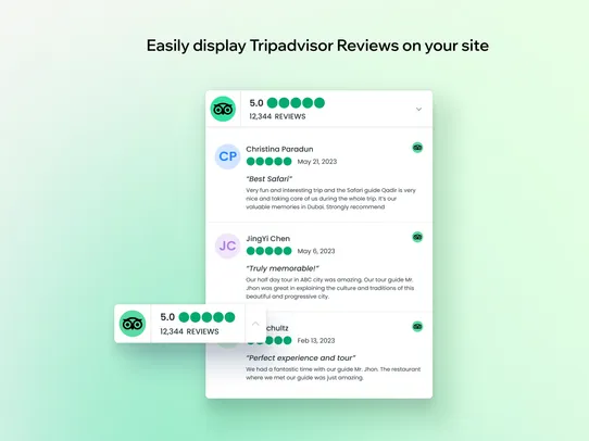 TripAdvisor Reviews screenshot