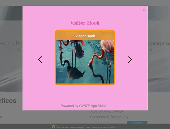 Visitor Hook screenshot