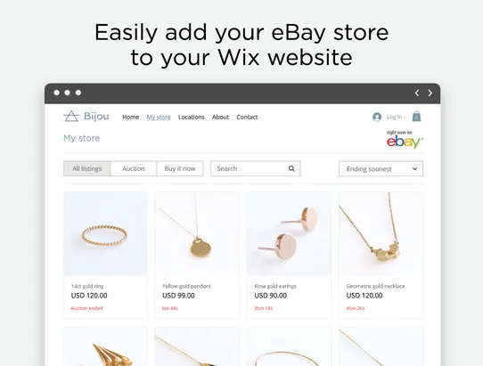 eBay Store screenshot