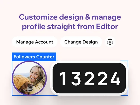 Twitch Followers Counter screenshot