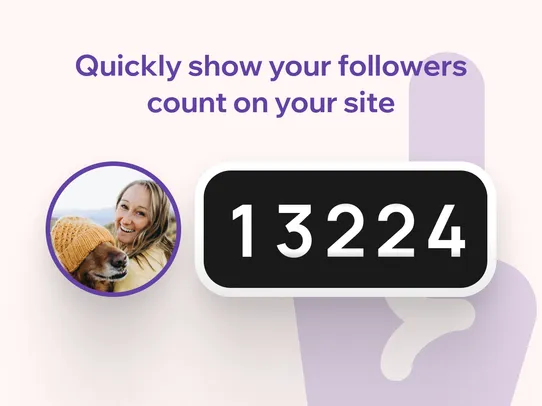 Twitch Followers Counter screenshot