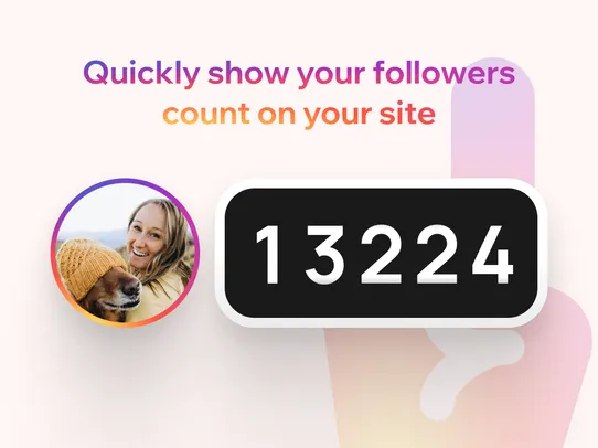 Instagram Followers Counter screenshot