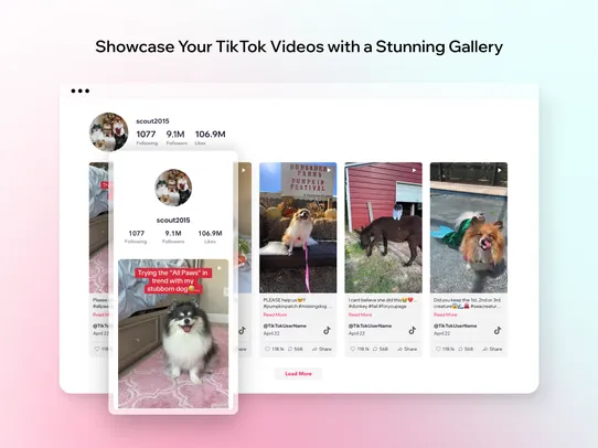 TikTok Feed Pro screenshot