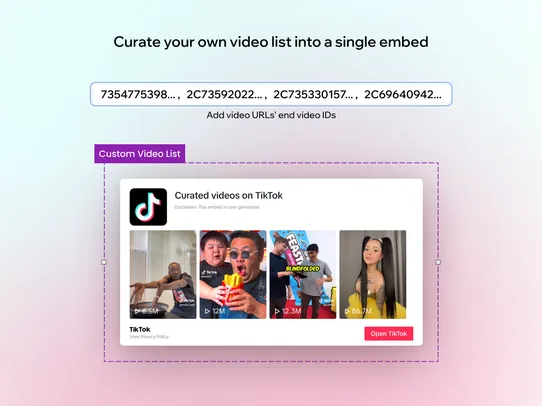 TikTok Embed screenshot