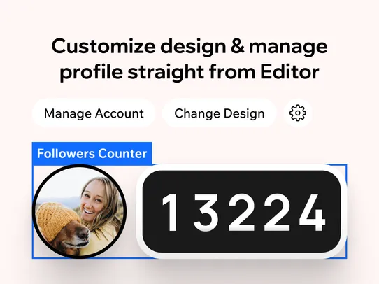 TikTok Followers Counter screenshot