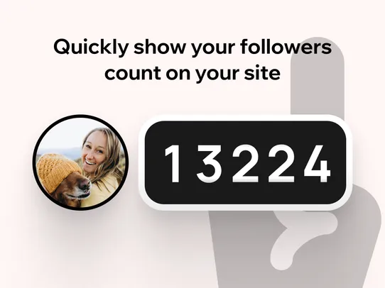 TikTok Followers Counter screenshot