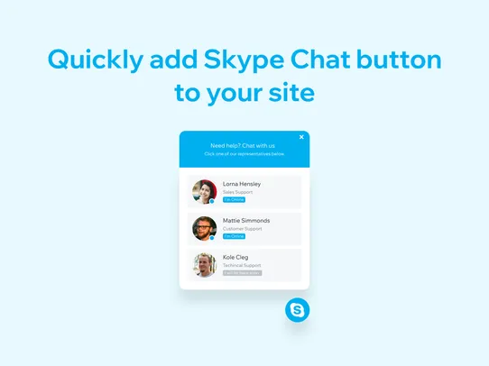 Skype: Start Chat Button screenshot