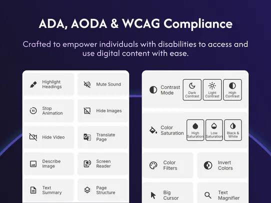 AccessPro Accessibility Widget screenshot