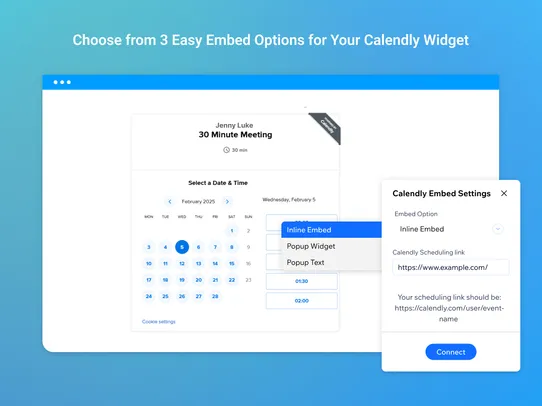 Calendly Embed screenshot