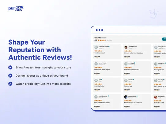Amazon Reviews Importer screenshot