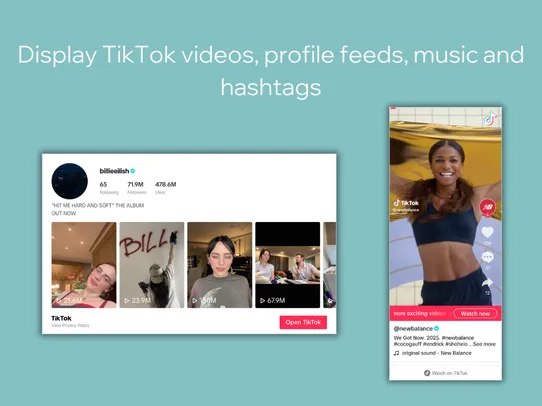 TikTok Videos, Music &amp; Feeds screenshot