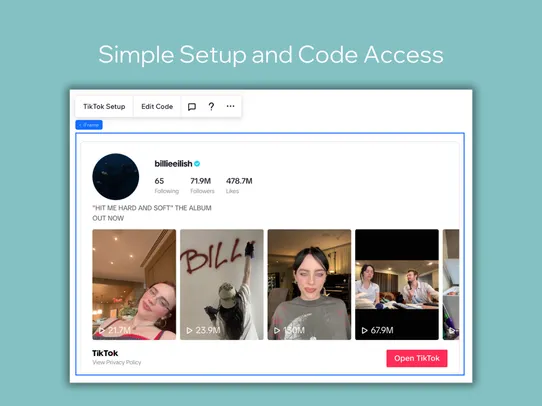 TikTok Videos, Music &amp; Feeds screenshot