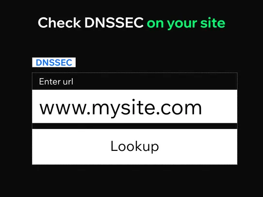 Domain DNSSEC &amp; Record Checker screenshot