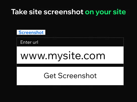 Site Page Screenshot Widget screenshot
