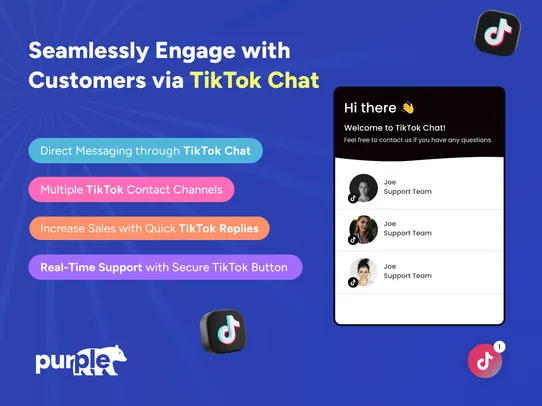 TikTok Chat screenshot