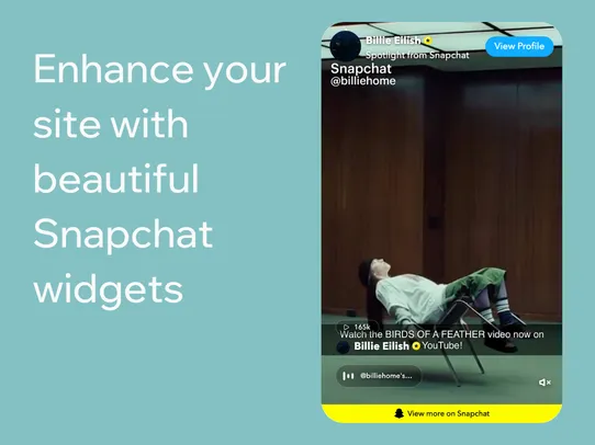 Snapchat Embed screenshot